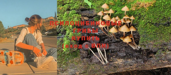 стаф Краснослободск