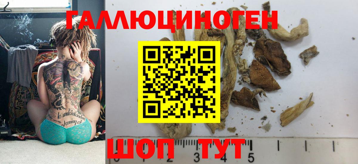 Кизилюрт  Псилоцибиновые грибы мухоморы  Вход с VPN 